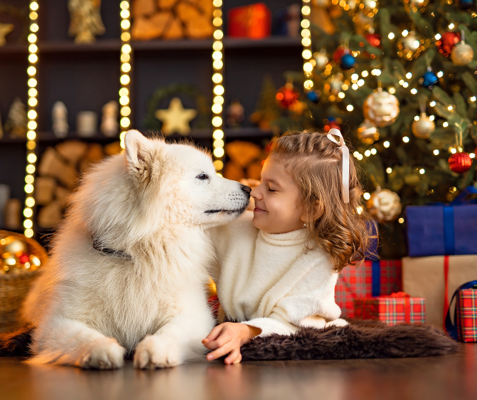 Karácsonyi tippek gazdiknak - Ártalmas ételek