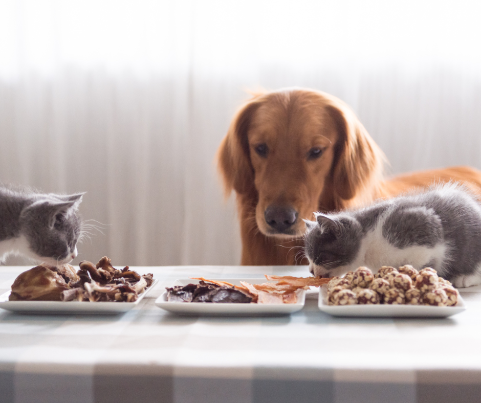 Ünnepi kényeztetés - Probiotikum és prebiotikum - Mi a különbség