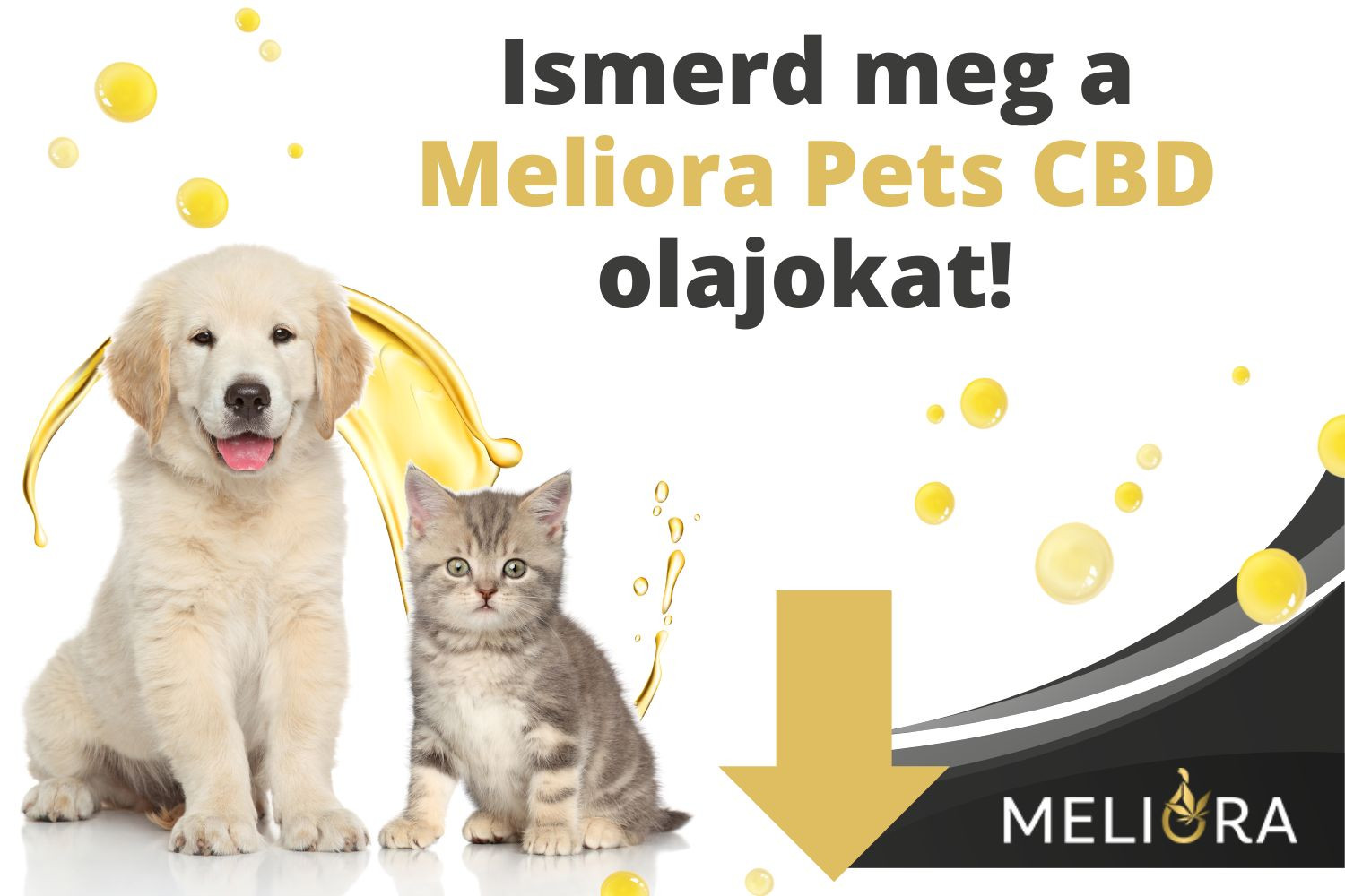 Meliora Pets CBC olajok Meliora Pets CBC olajok