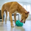 KONG Licks Rewards 15cm