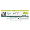 Mervue Lysine Paszta 250 - 30 ml