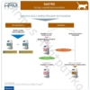 Kép 3/6 - Virbac HPM Diet Cat Digestive Support 1,5 kg