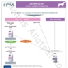 Kép 3/6 - Virbac HPM Diet Dog Dermatology Support 3 kg