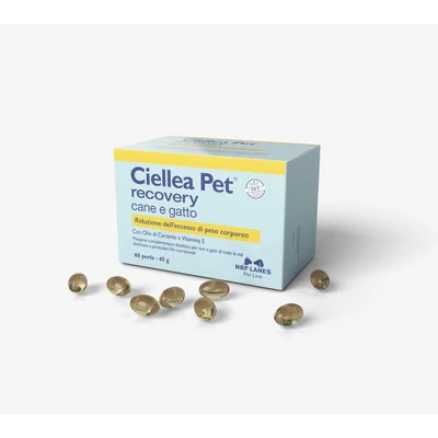Ciellea Pet 60 db