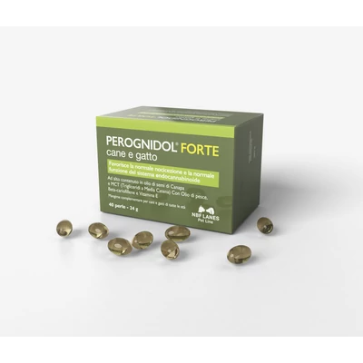 Perognidol Forte kapszula 40 db