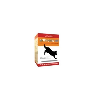 Arthronis Akut Tabl. 60x