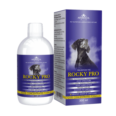 Rocky Pro 300 ml