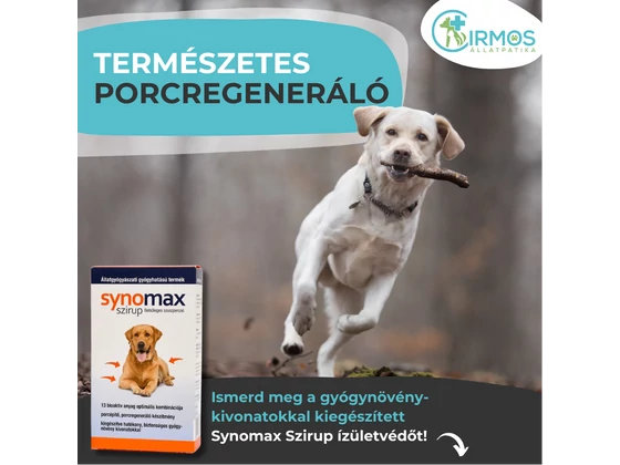 SYNOMAX szirup: ízületvédelem és porcépítés egyben