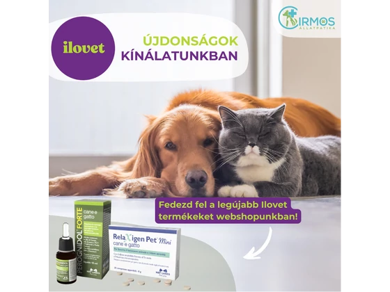 Ilovet újdonságok: célzott támogatás kedvenced egészségéért