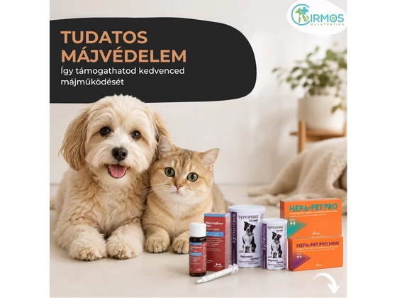 Májvédelem – így támogathatod kedvenced májműködését