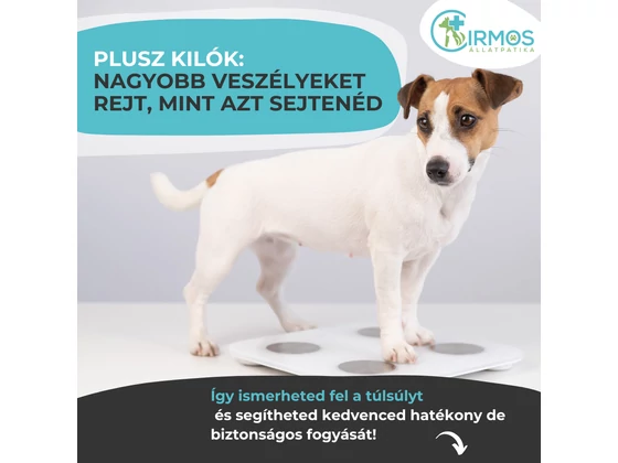 Plusz kilók: nagyobb veszélyeket rejt, mint azt sejtenéd