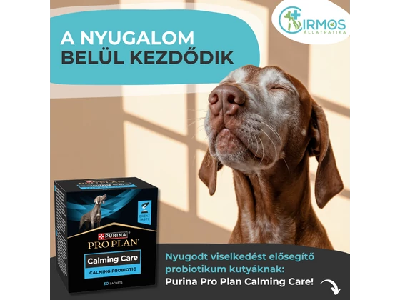 A nyugalom belül kezdődik: Purina Pro Plan Calming Care