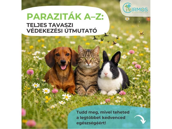 Paraziták A–Z: teljes tavaszi védekezési útmutató