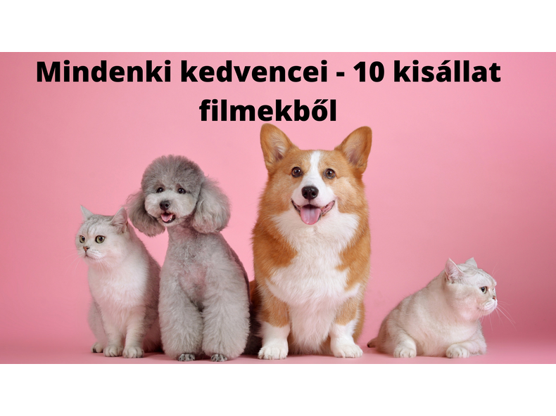 Mindenki kedvencei - 10 kisállat filmekből