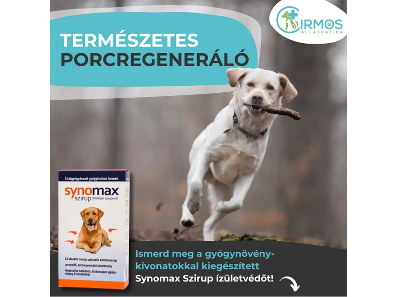 SYNOMAX szirup: ízületvédelem és porcépítés egyben