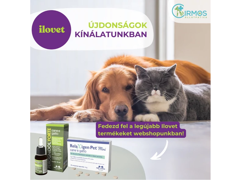 Ilovet újdonságok: célzott támogatás kedvenced egészségéért