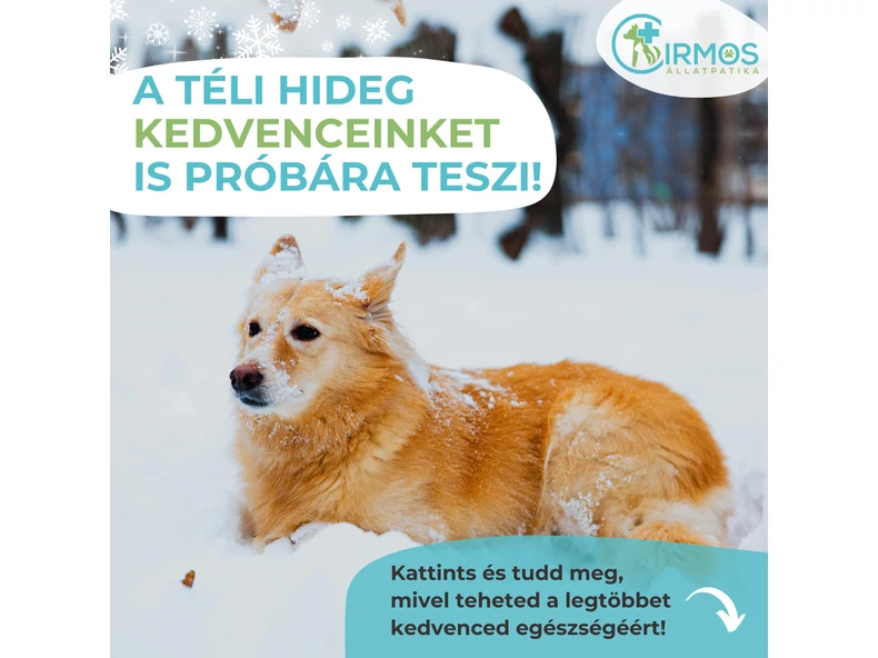 Tél és ízületi panaszok: mit tehetsz gazdiként?