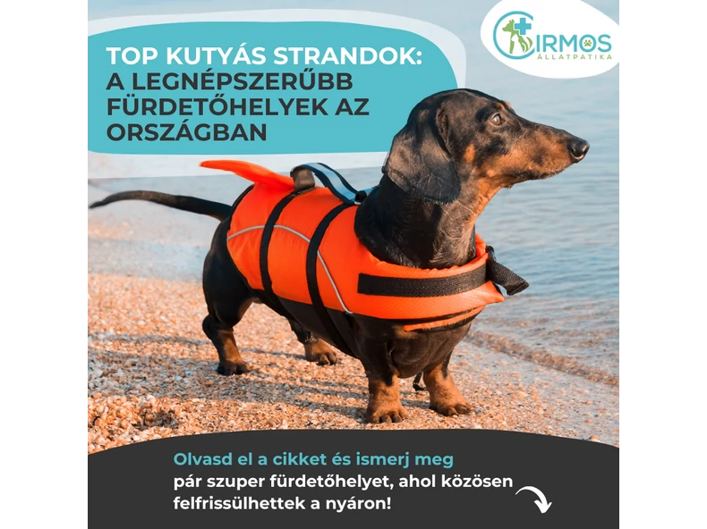 A legnépszerűbb kutyás strandok Magyarországon