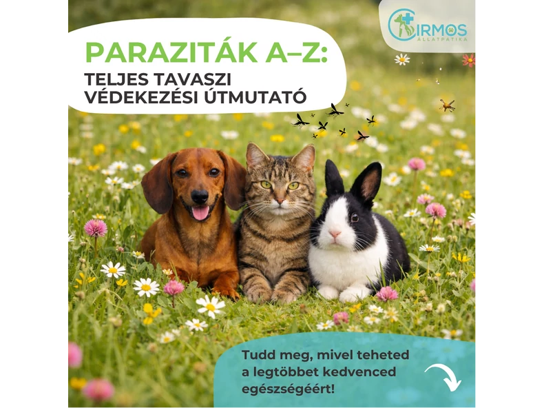 Paraziták A–Z: teljes tavaszi védekezési útmutató