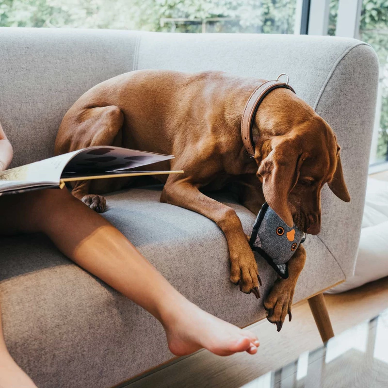 Hunter plüss Kolding bagoly