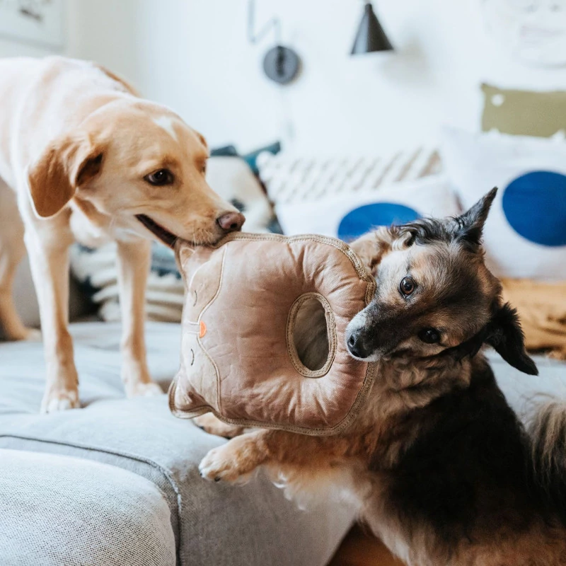 Hunter Tough Tundra játék Mosómedve