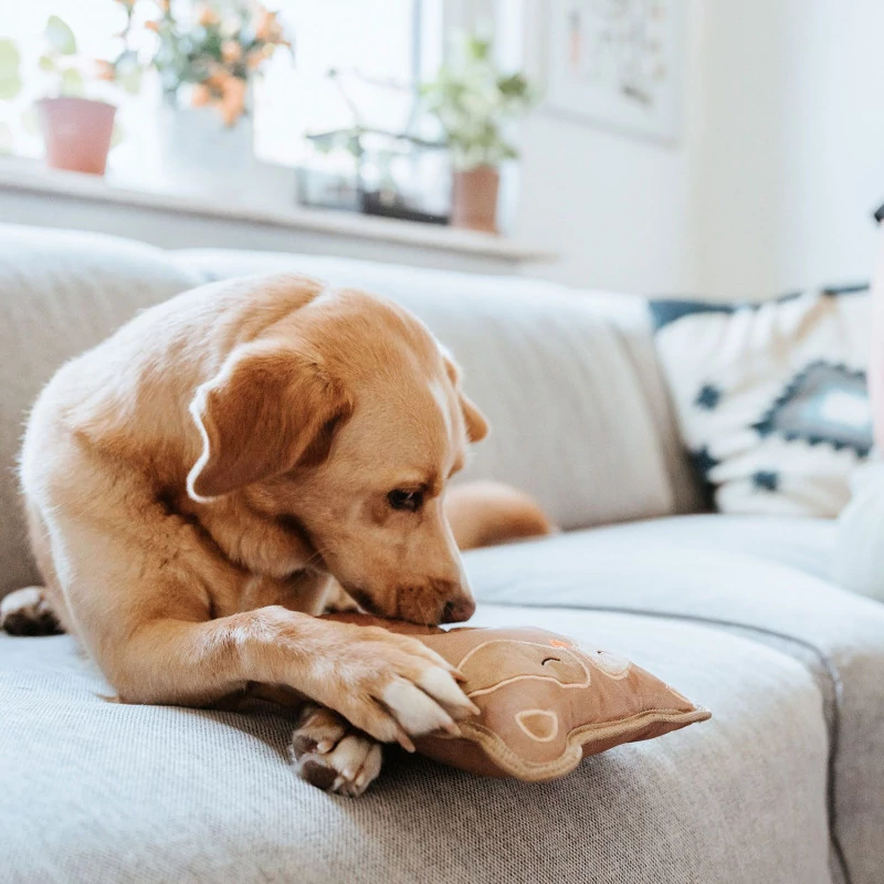 Hunter Tough Tundra játék Mosómedve