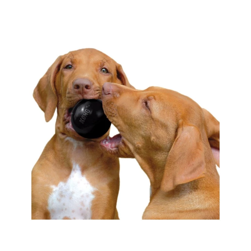 KONG Extreme labda M/L