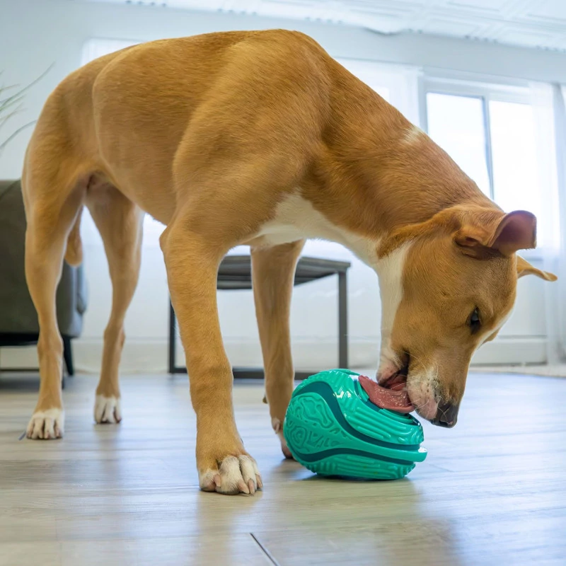 KONG Licks Rewards 15cm