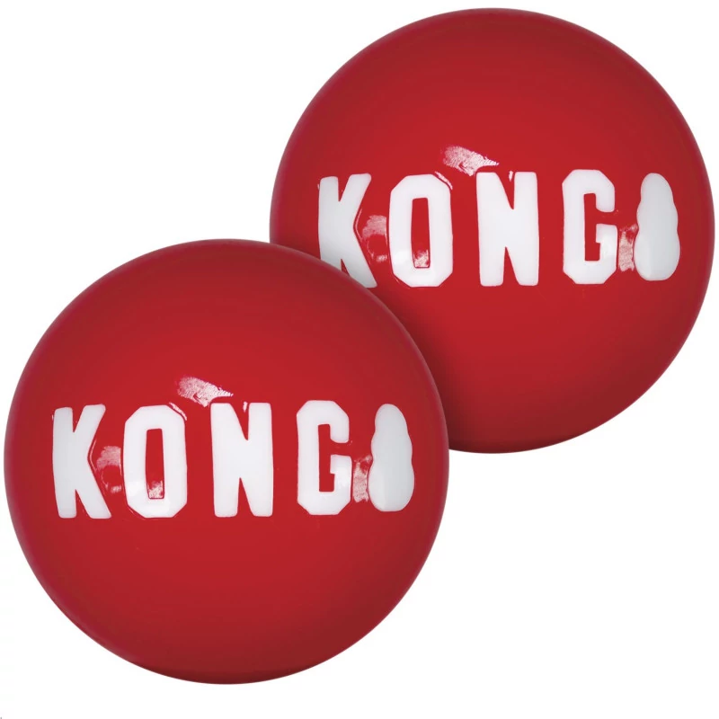 KONG Signatúre labda L 2db