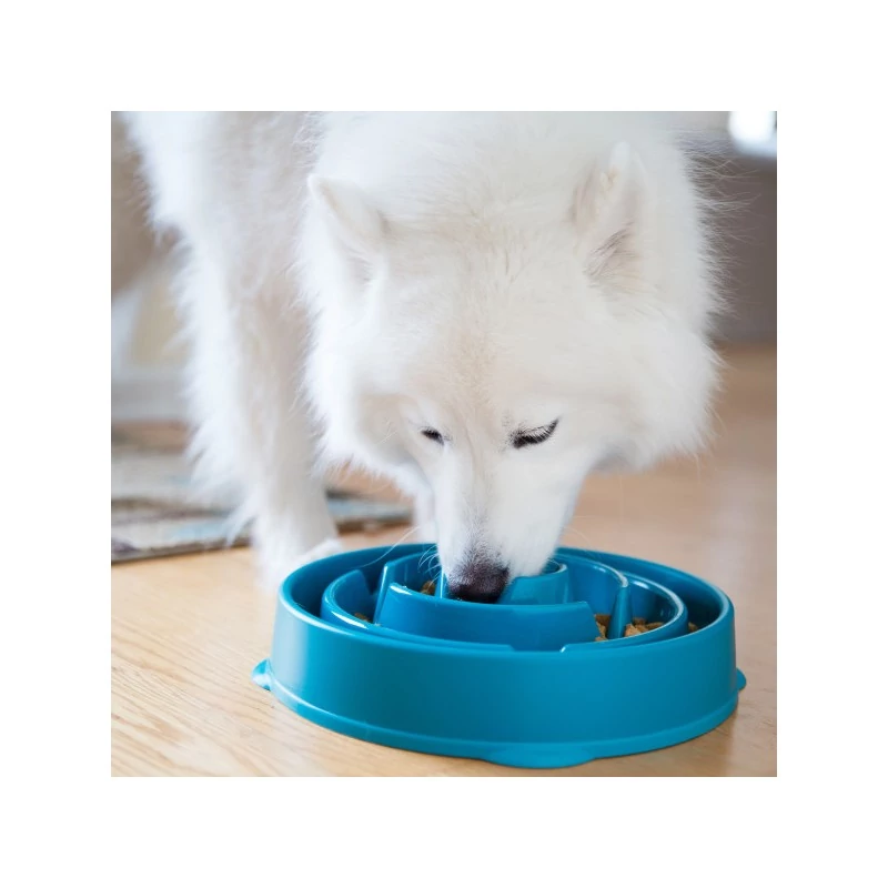 Fun Feeder evés lassító tál  L türkiz