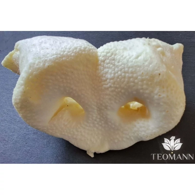 Teomann Puffasztott Sertésorr 5 db