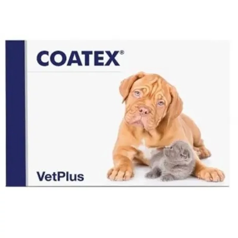 Coatex kapszula 60x