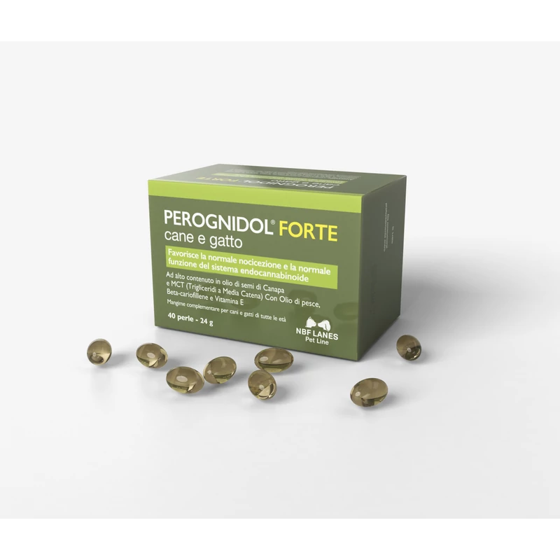 Perognidol Forte kapszula 40 db