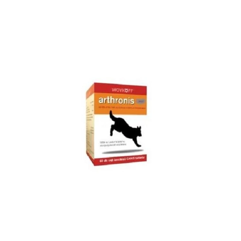 Arthronis Akut Tabl. 60x