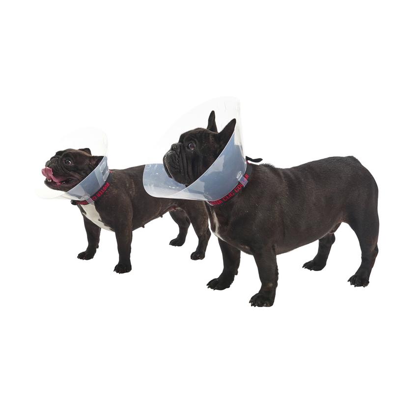 Műtéti Gallér Brachycephal S (6-9 kg)