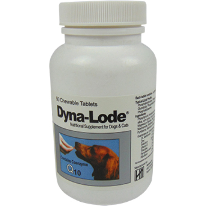 Dyna-Lode tabletta 50 db