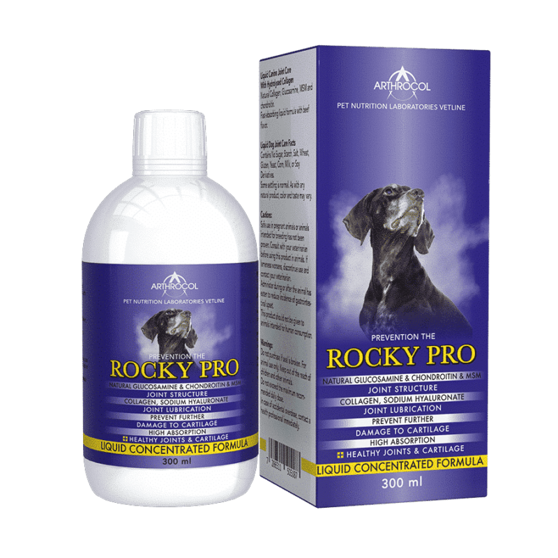 Arthrocol Rocky Pro 300ml
